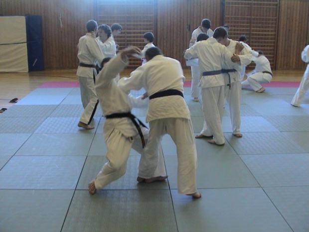 ju-jutsu – lehrgang